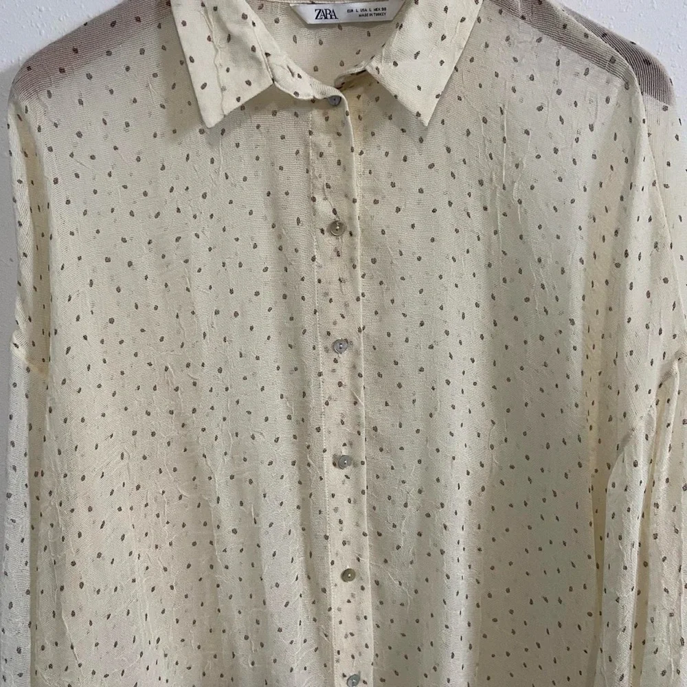 Zara Sheer Polka Dot Long Tunic Button-Down Top - Picture 6 of 8